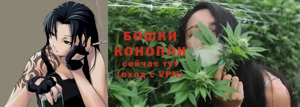 прущие грибы Магадан