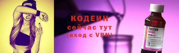 герыч Мегион