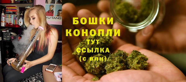 герыч Мегион