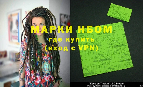 прущие грибы Магадан