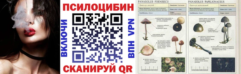 Галлюциногенные грибы мухоморы  Торопец 